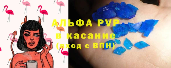 индика Аркадак