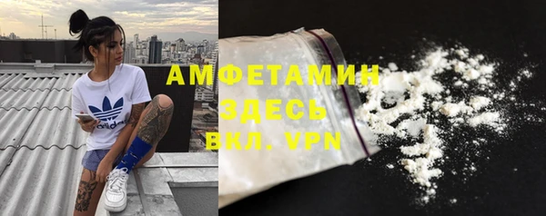 индика Аркадак